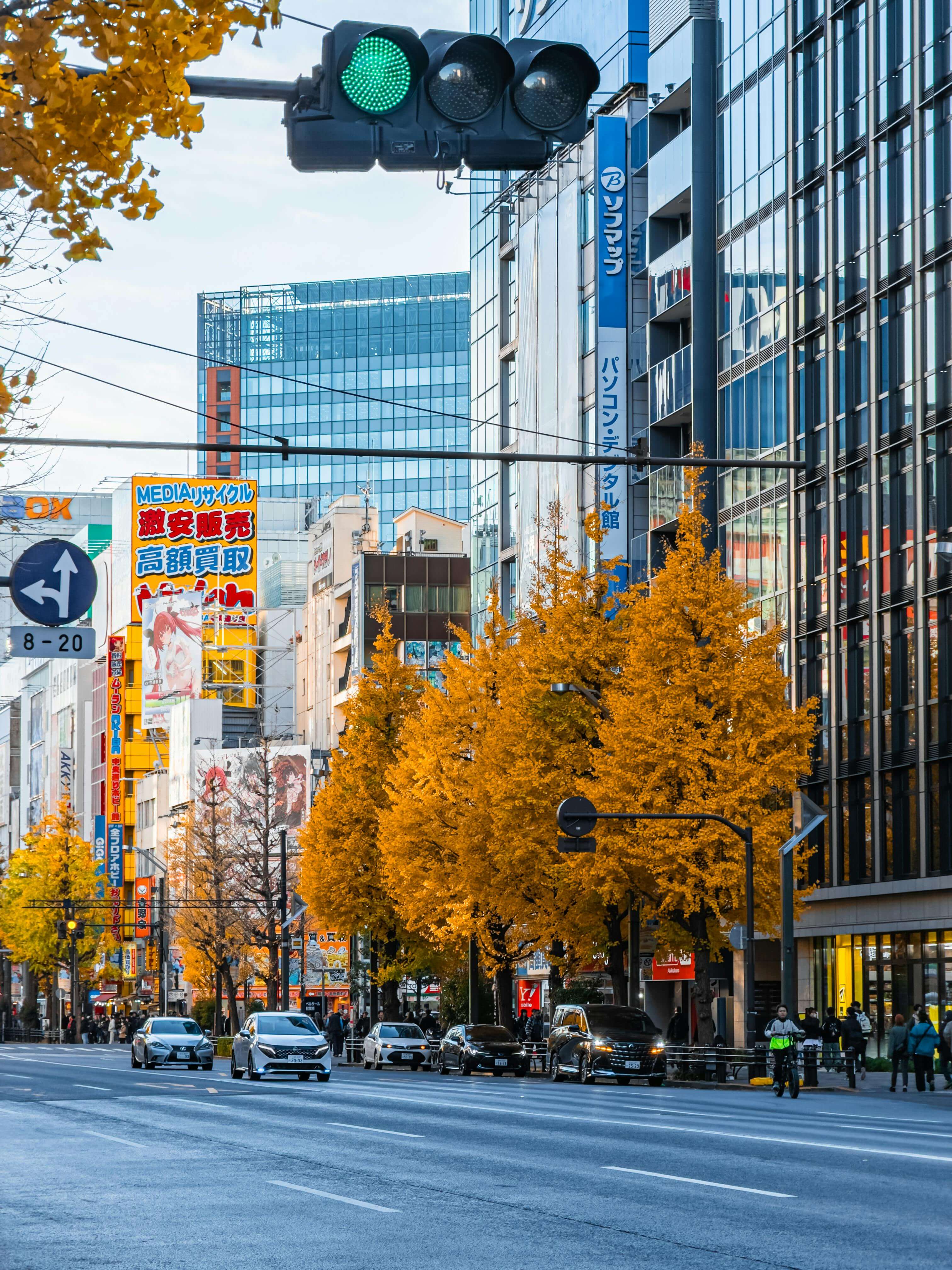 Tokyo street with golden ginkgo trees and modern architecture
