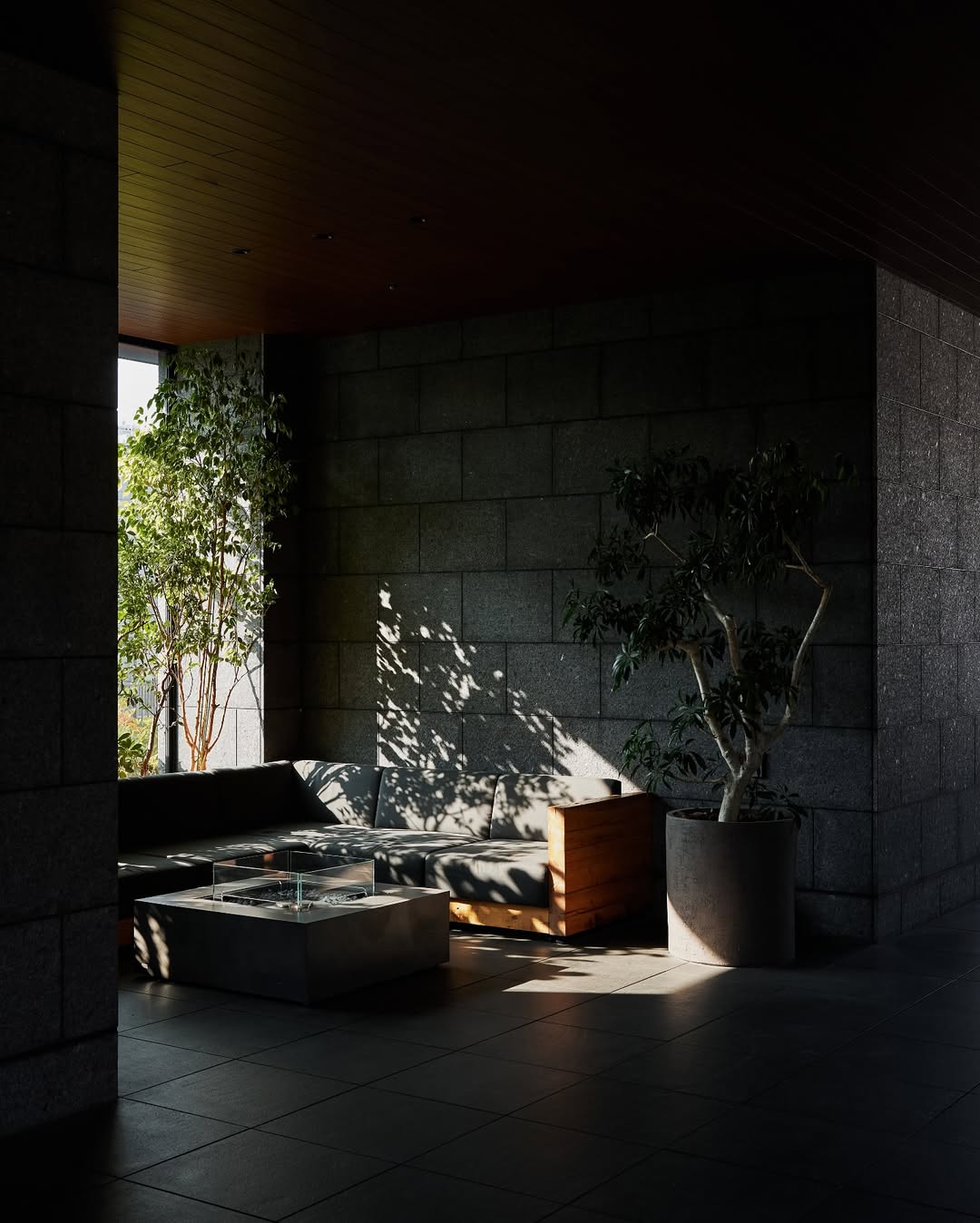 Modern interior with dramatic natural lighting